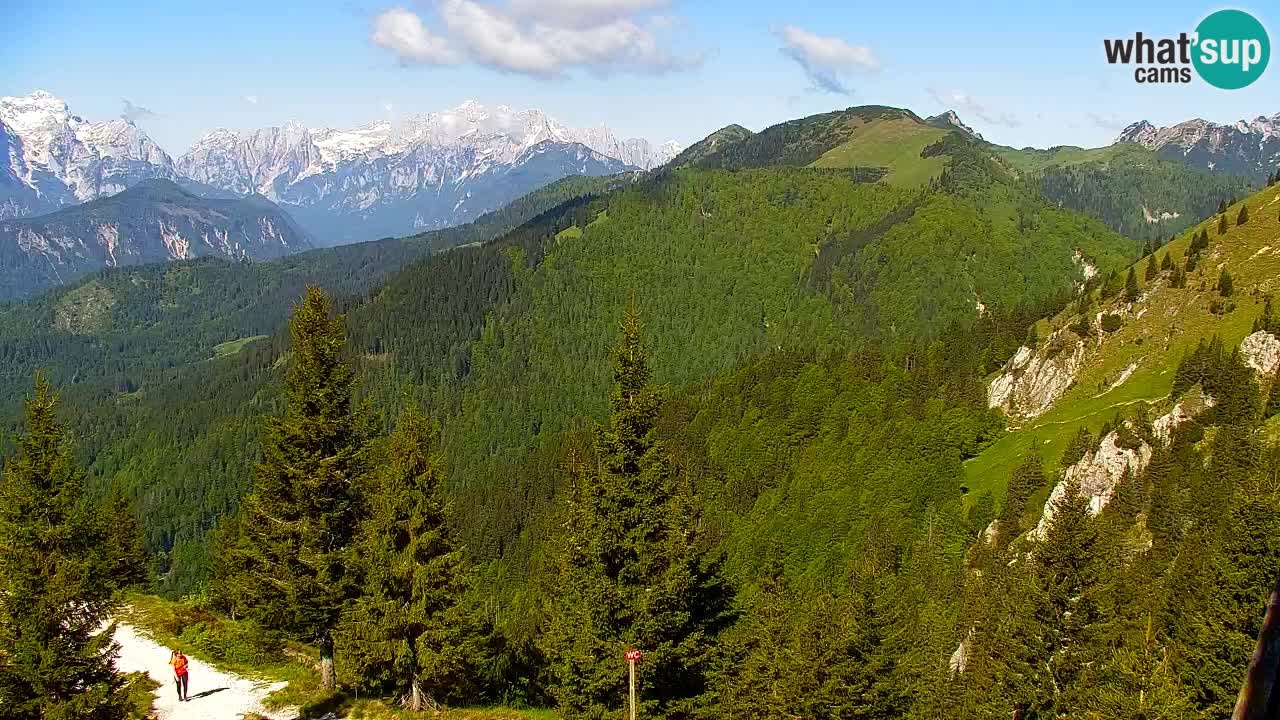 Koča na Golici Webcam (1582 m) – Slowenien