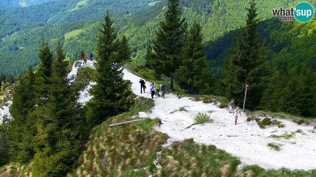 Webcam Chalet sur Golica (1582 m) – Slovénie