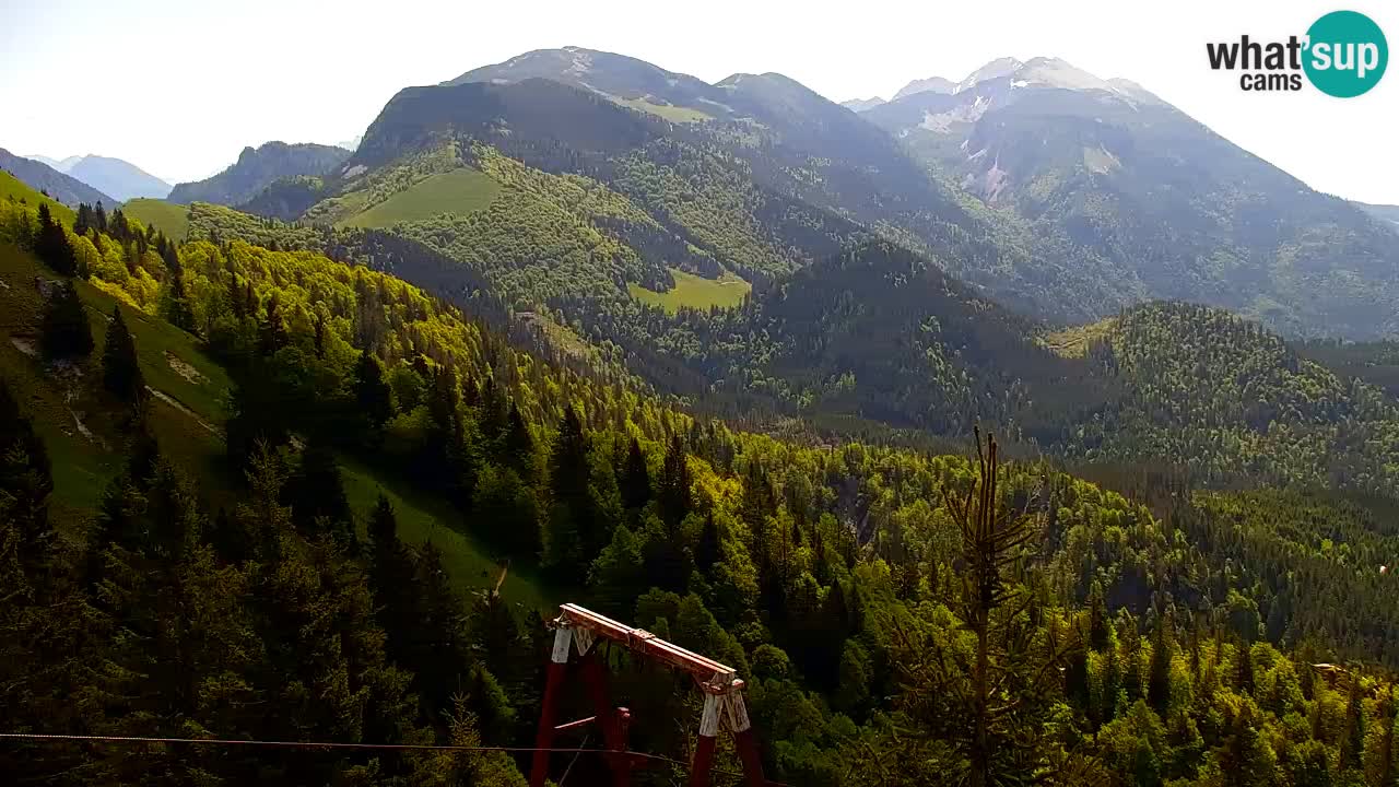 Koča na Golici Webcam (1582 m) – Slowenien