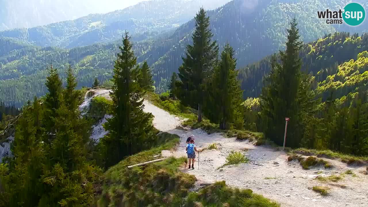 Webcam Chalet sur Golica (1582 m) – Slovénie