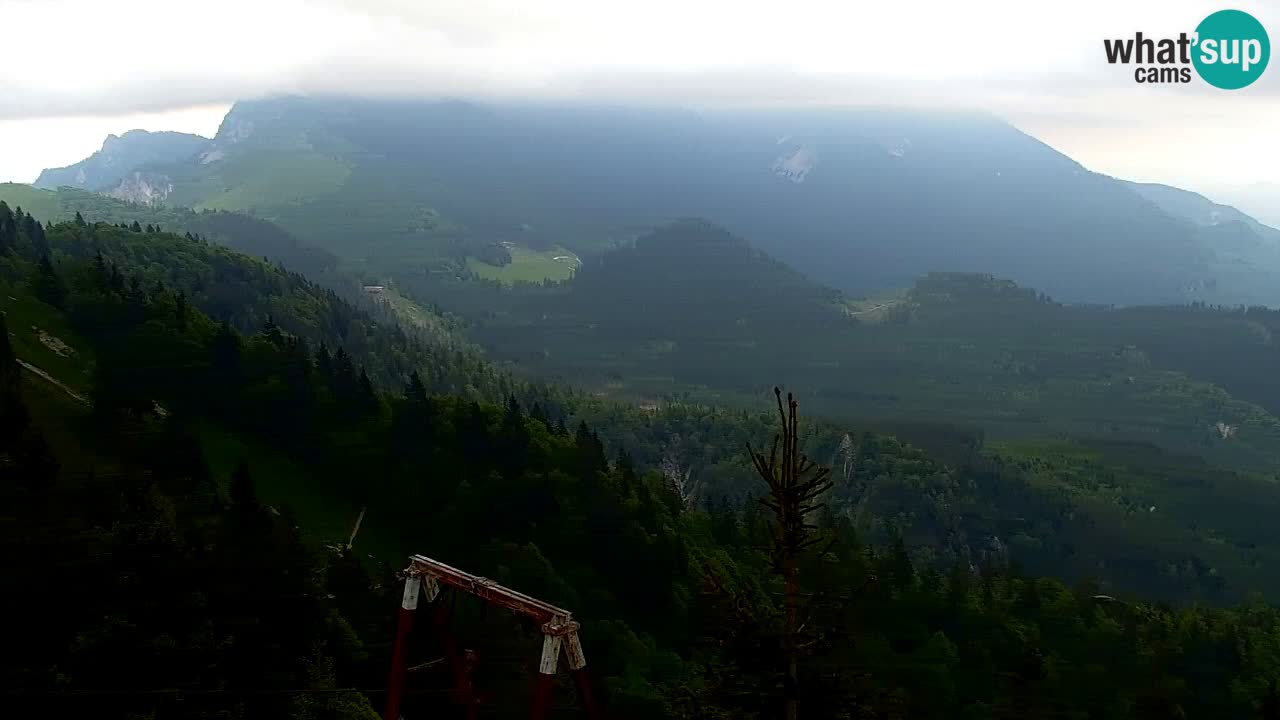 Webcam Koča na Golici (1582 m) – Slovenia