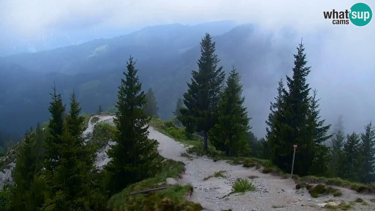 Koča na Golici Webcam (1582 m) – Slowenien