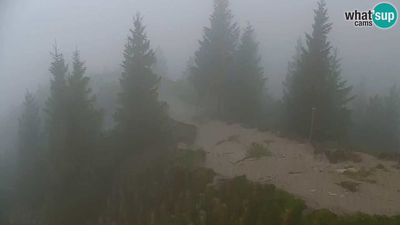 Koča na Golici Webcam (1582 m) – Slowenien