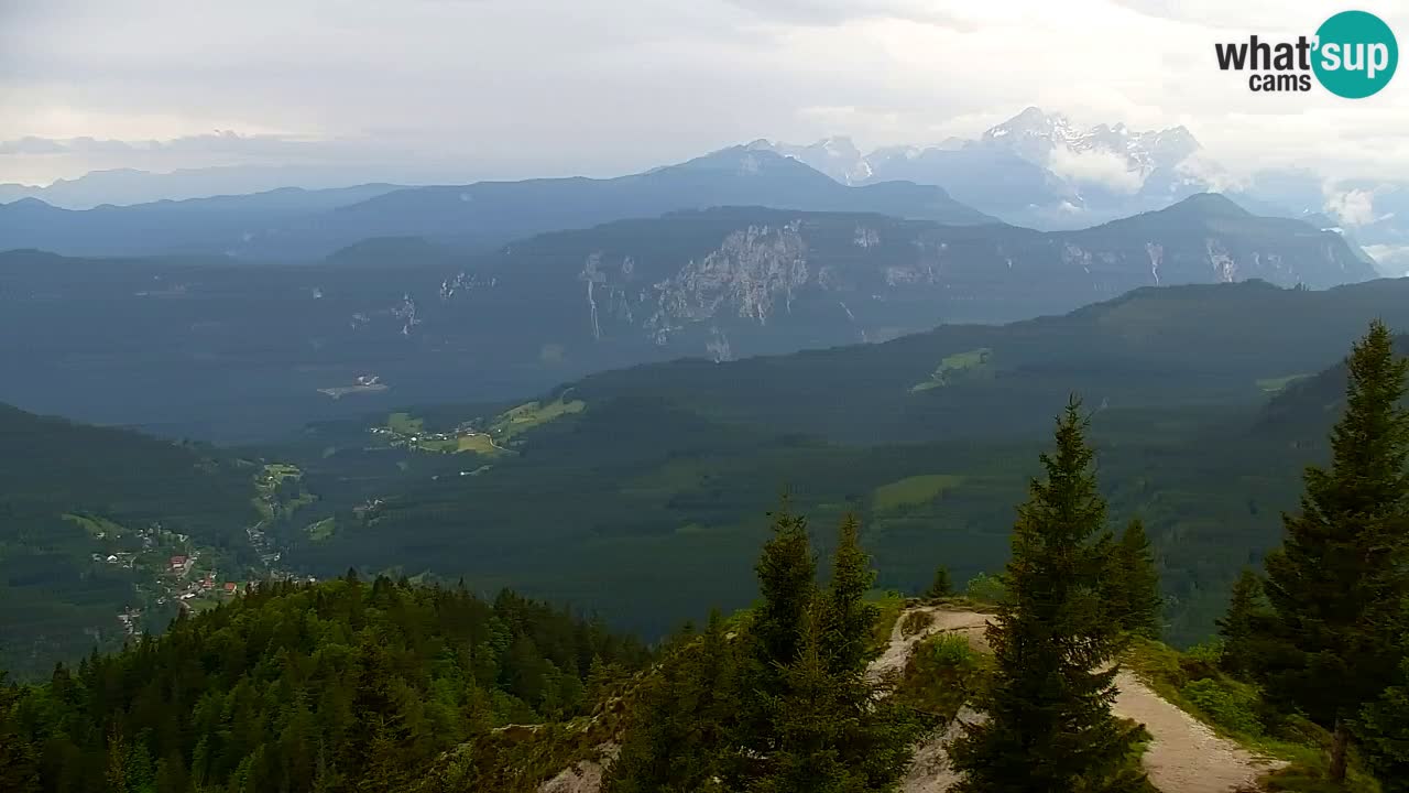 Web kamera Koča na Golici (1582 m) – Slovenija