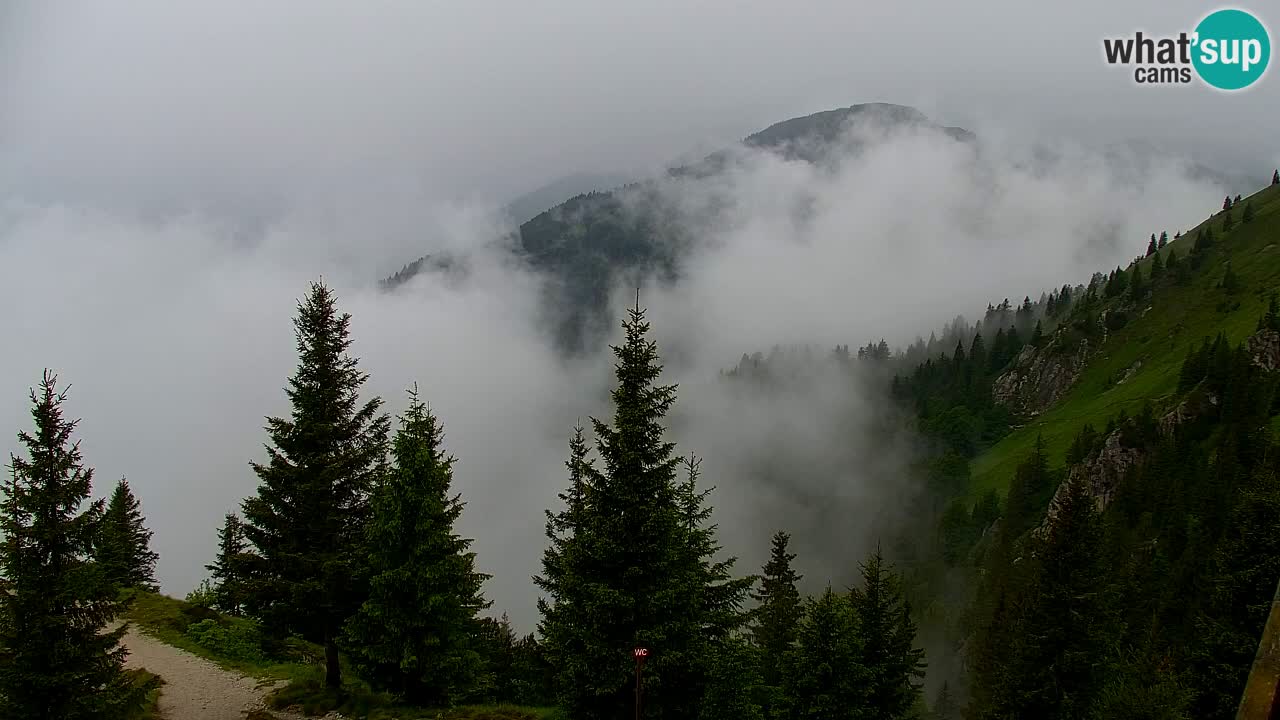 Webcam Koča na Golici (1582 m) – Slovenia