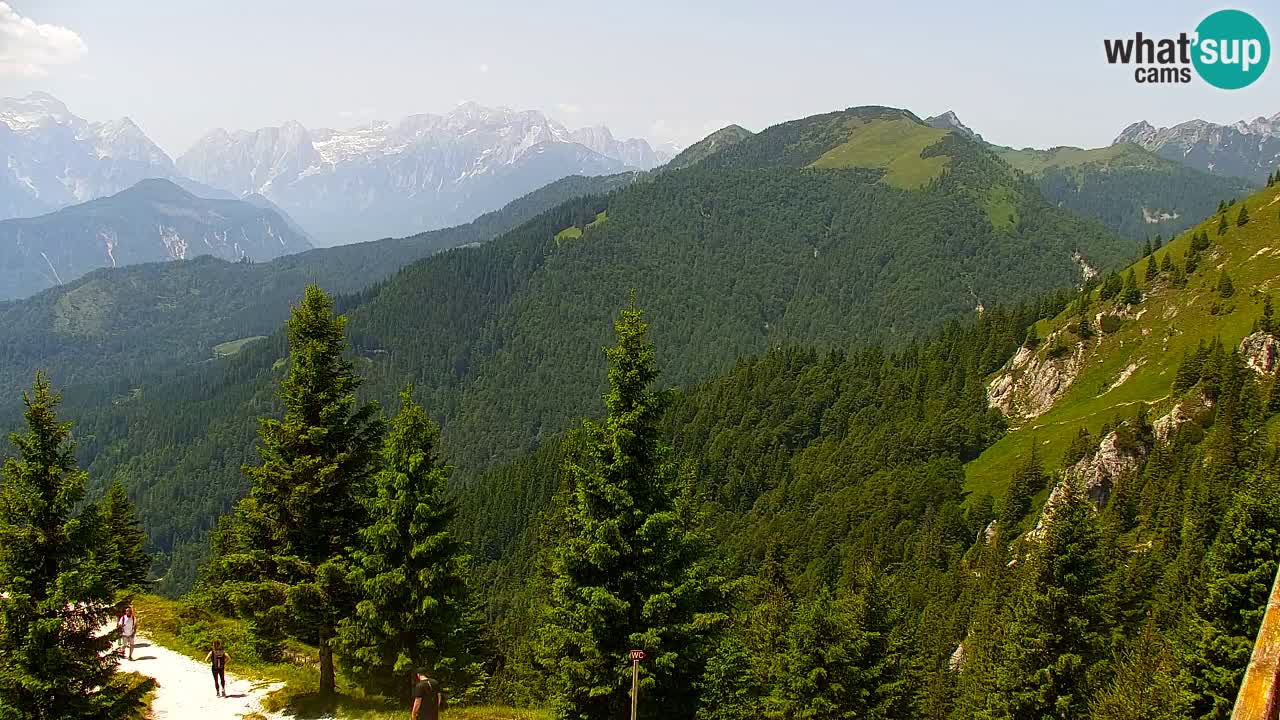 Webcam Koča na Golici (1582 m) – Slovenia