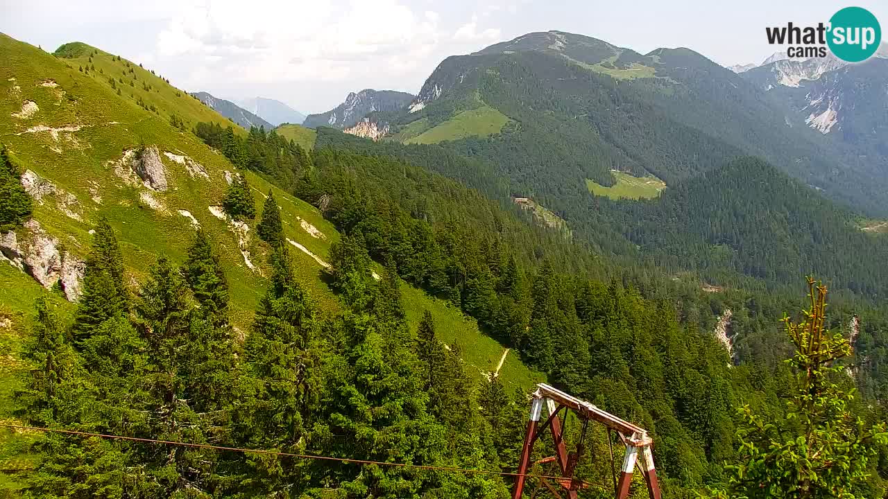 Webcam Koča na Golici (1582 m) – Slovenia