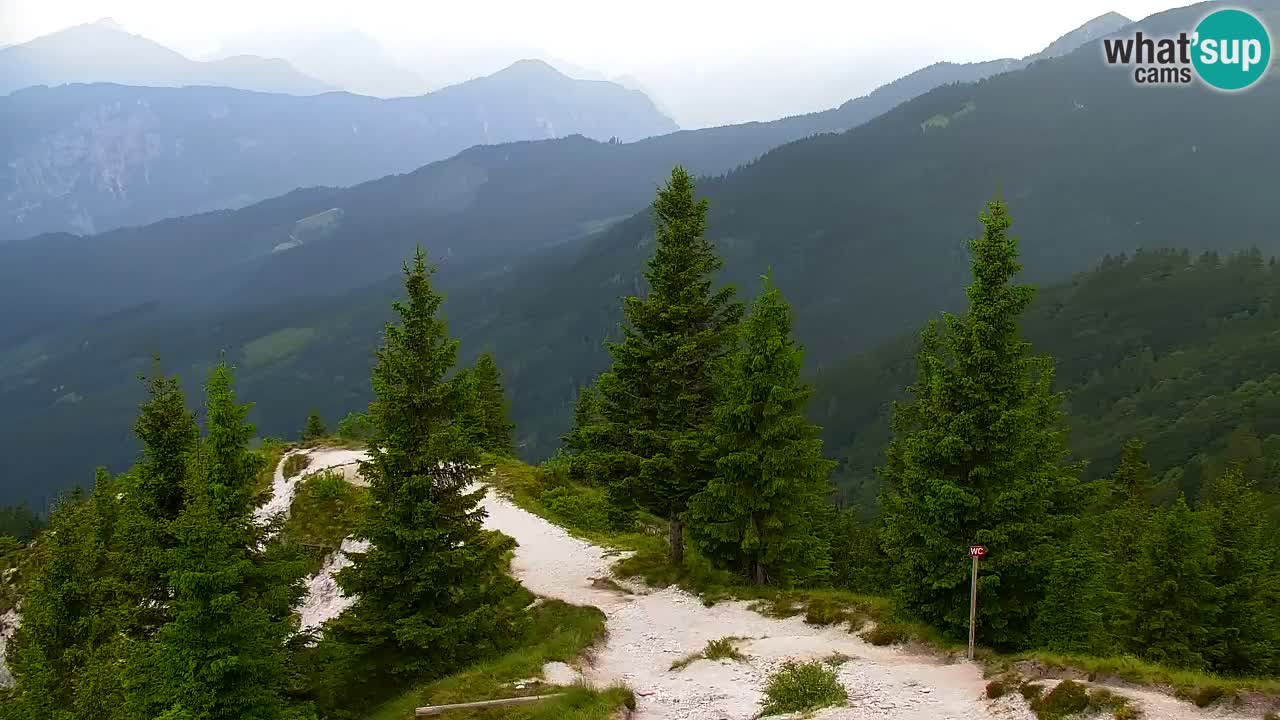 Webcam Koča na Golici (1582 m) – Slovenia