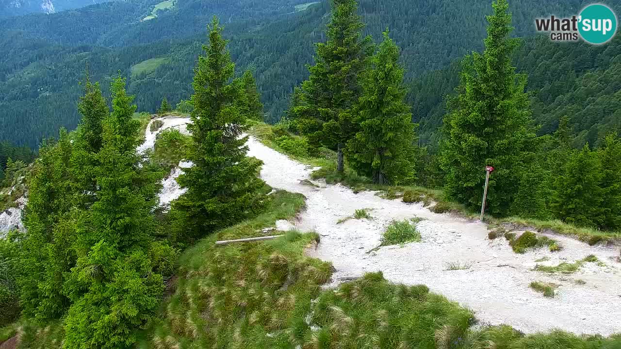 Webcam Koča na Golici (1582 m) – Slovenia