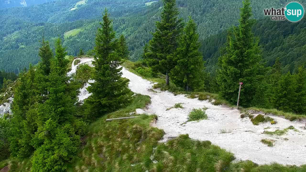 Spletna kamera Koča na Golici (1582 m) – Jesenice