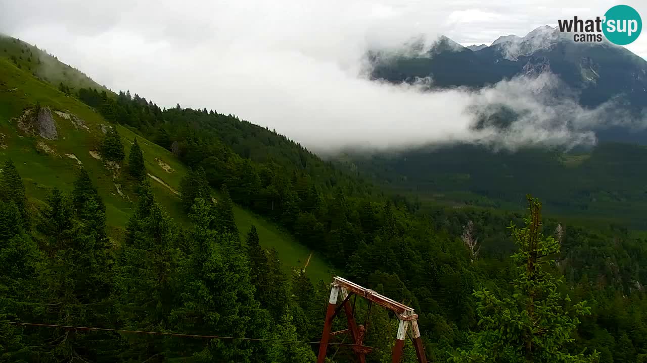 Koča na Golici Webcam (1582 m) – Slowenien