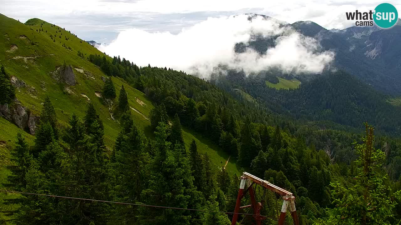 Web kamera Koča na Golici (1582 m) – Slovenija