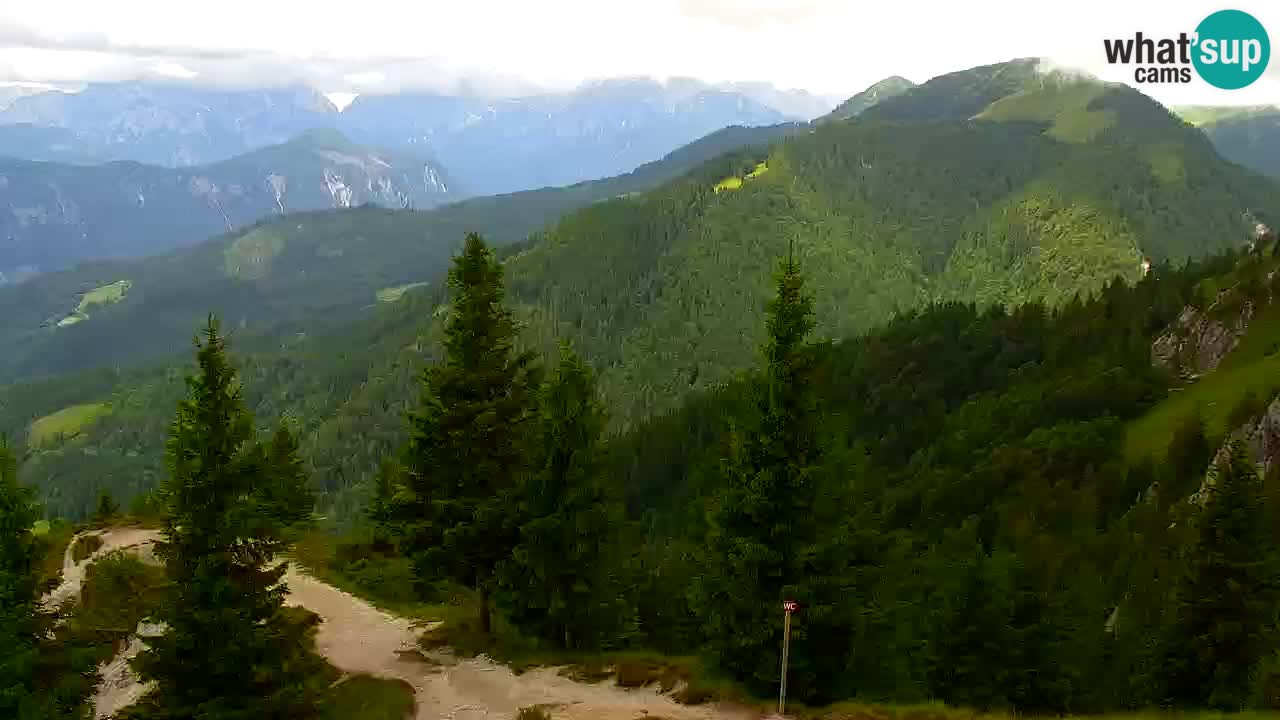 Koča na Golici Webcam (1582 m) – Slowenien