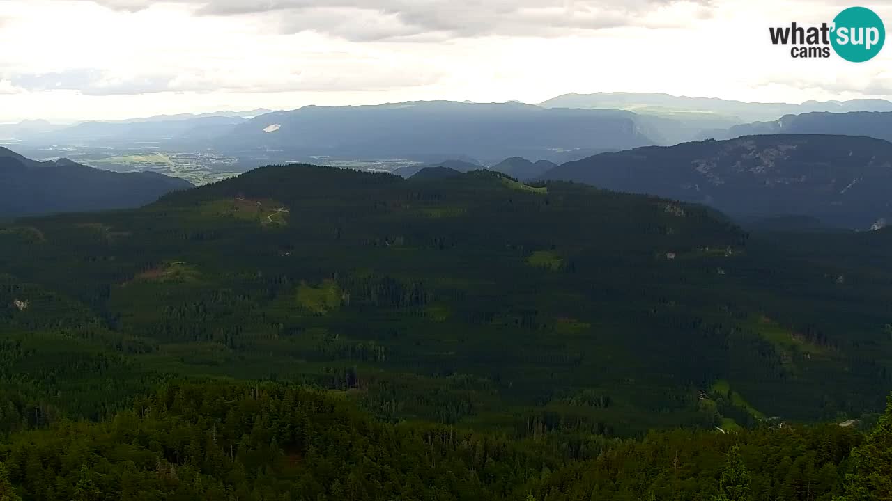 Web kamera Koča na Golici (1582 m) – Slovenija