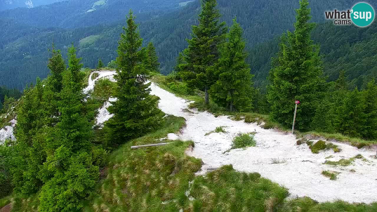 Koča na Golici Webcam (1582 m) – Slowenien
