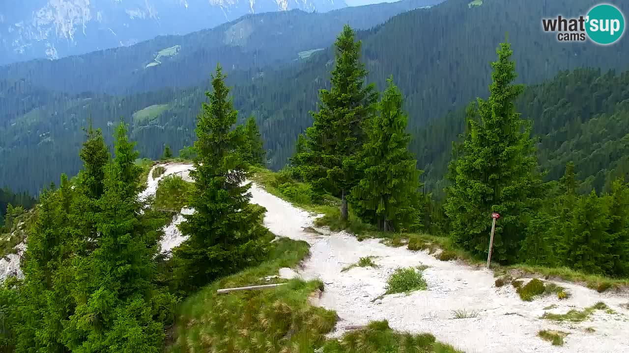 Webcam na Golici – Baita di montagna (1582 m) – Slovenia