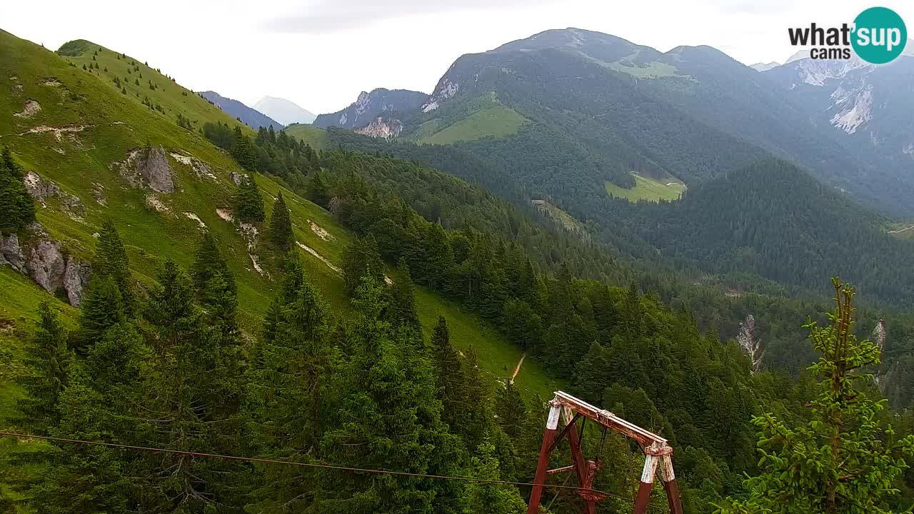 Web kamera Koča na Golici (1582 m) – Slovenija
