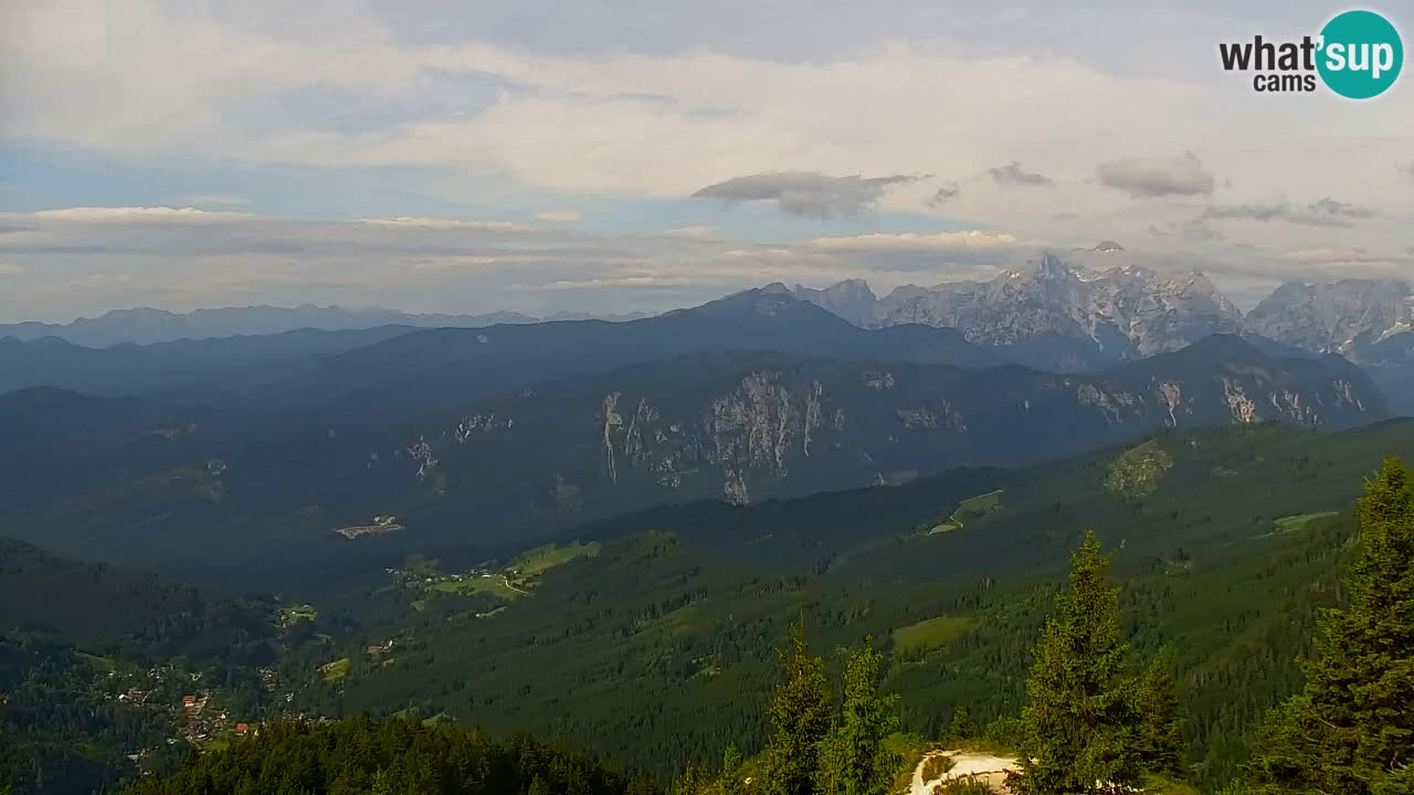 Webcam Koča na Golici (1582 m) – Slovenia