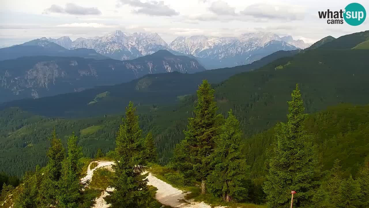 Webcam Koča na Golici (1582 m) – Slovenia