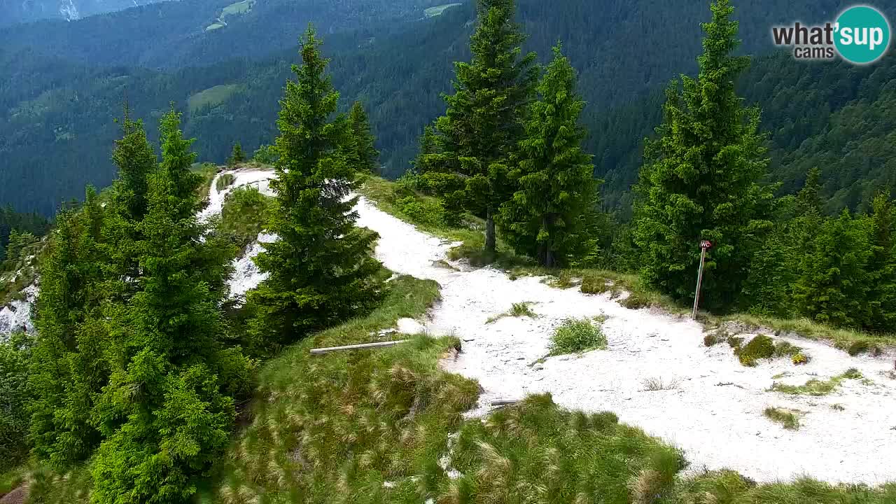 Webcam en Golica (1582 m) – Eslovenia