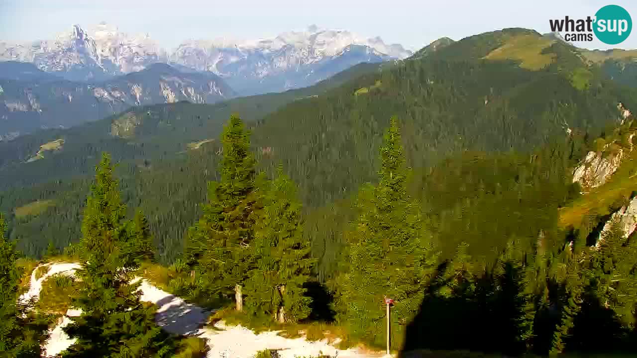 Webcam Koča na Golici (1582 m) – Slovenia