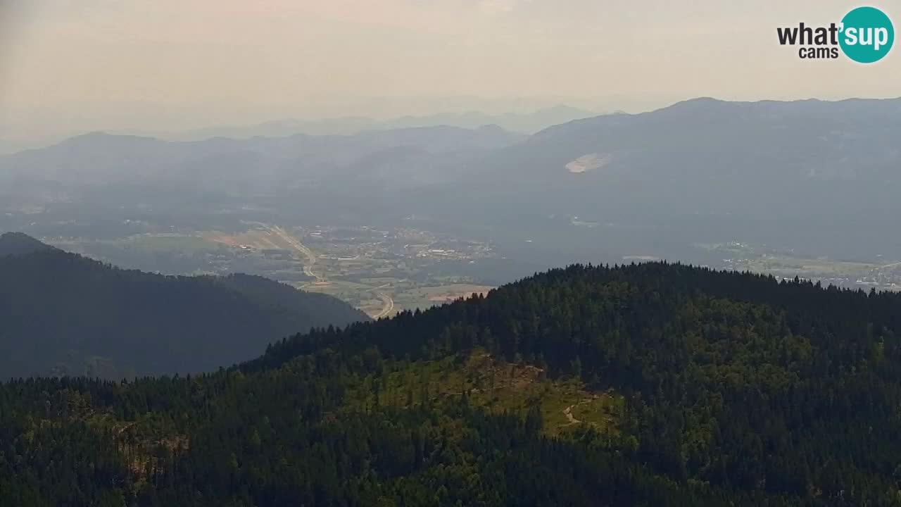 Koča na Golici Webcam (1582 m) – Slowenien