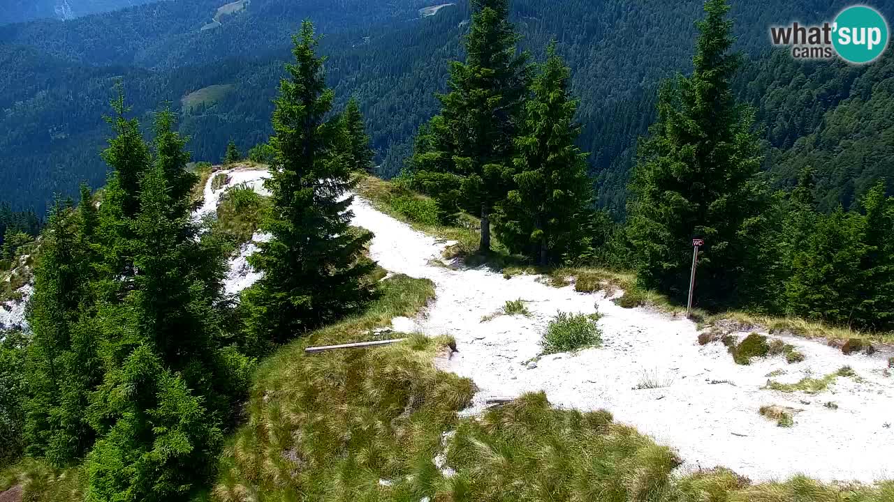 Webcam na Golici – Baita di montagna (1582 m) – Slovenia