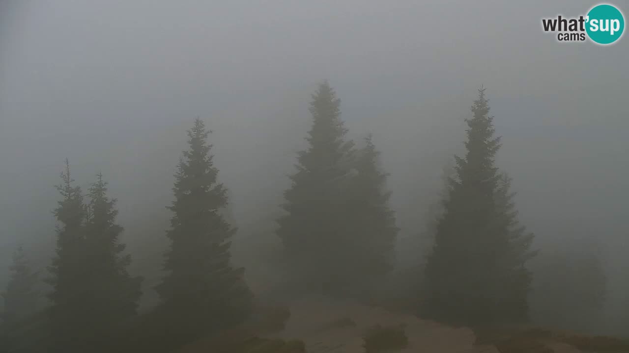 Webcam na Golici – Baita di montagna (1582 m) – Slovenia