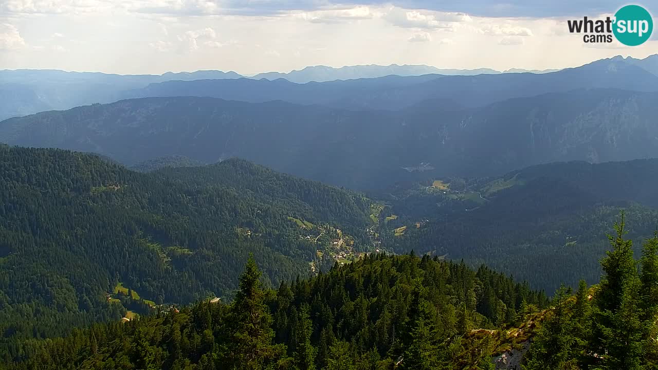 Webcam Koča na Golici (1582 m) – Slovenia