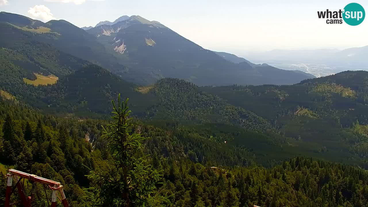 Webcam Koča na Golici (1582 m) – Slovenia