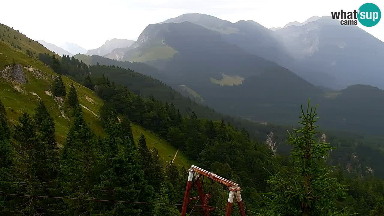 Web kamera Koča na Golici (1582 m) – Slovenija