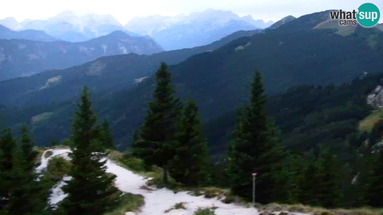 Webcam Chalet sur Golica (1582 m) – Slovénie
