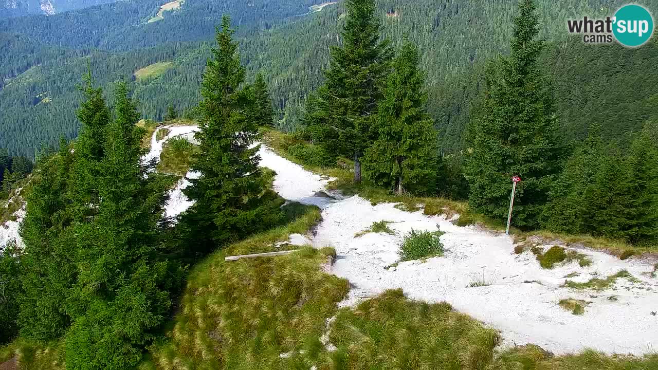Web kamera Koča na Golici (1582 m) – Slovenija