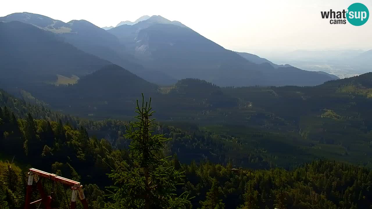 Webcam Koča na Golici (1582 m) – Slovenia