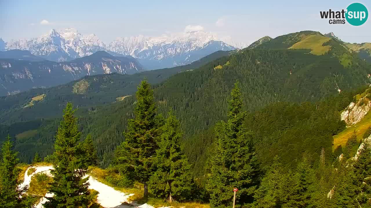 Koča na Golici Webcam (1582 m) – Slowenien