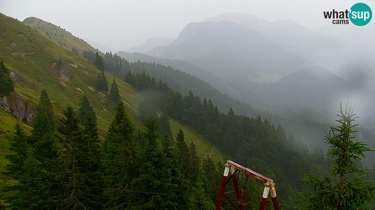 Webcam Koča na Golici (1582 m) – Slovenia