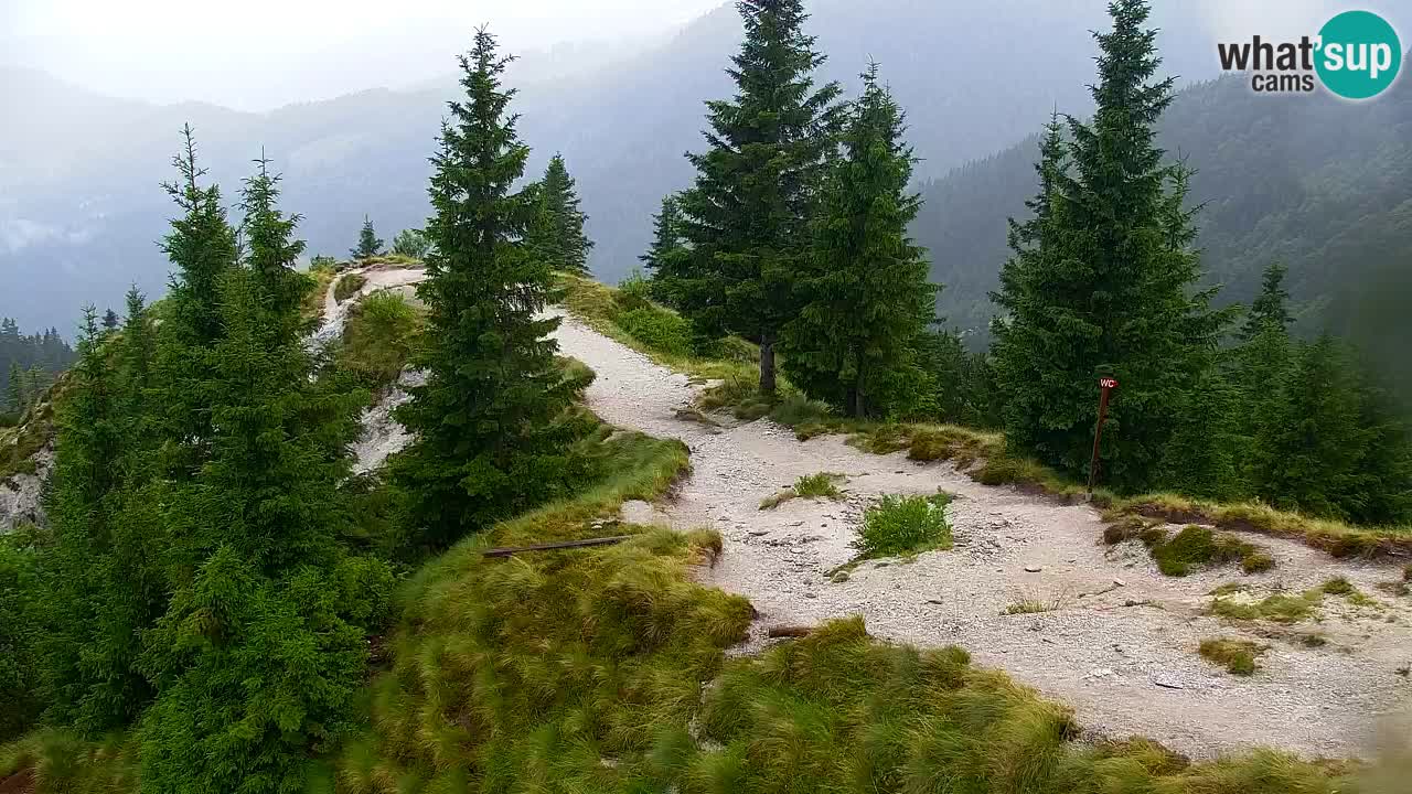 Spletna kamera Koča na Golici (1582 m) – Jesenice