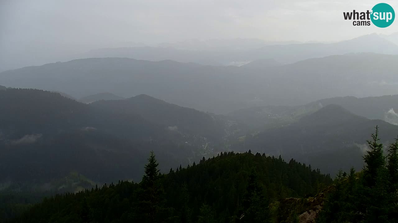Webcam Koča na Golici (1582 m) – Slovenia