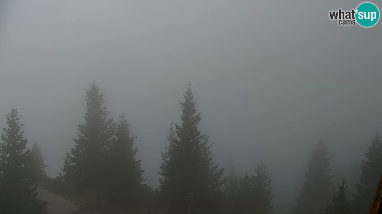 Webcam Koča na Golici (1582 m) – Slovenia