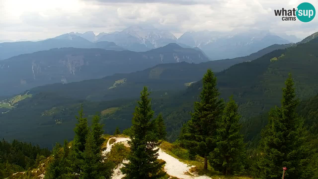 Koča na Golici Webcam (1582 m) – Slowenien