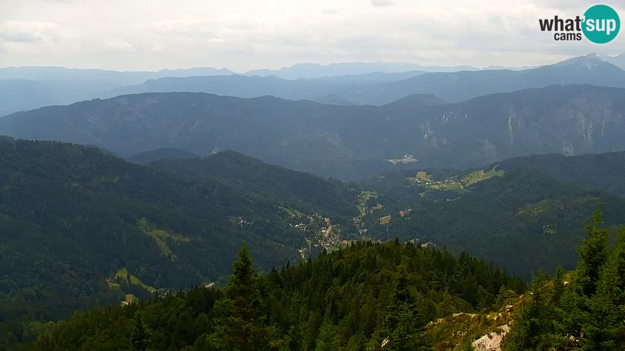 Web kamera Koča na Golici (1582 m) – Slovenija