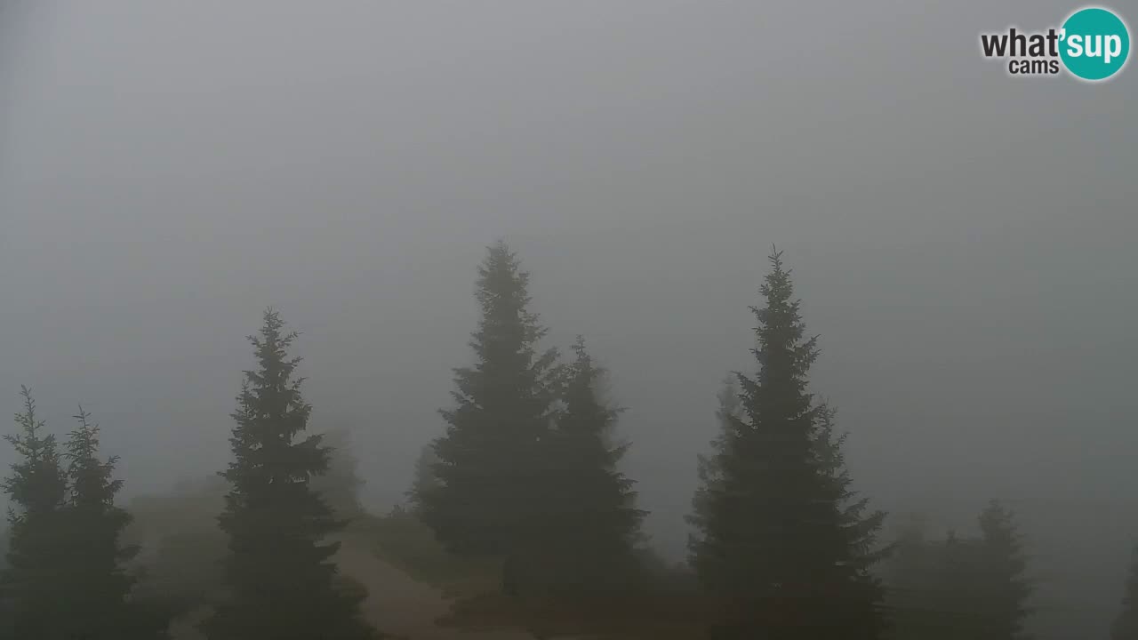 Spletna kamera Koča na Golici (1582 m) – Jesenice