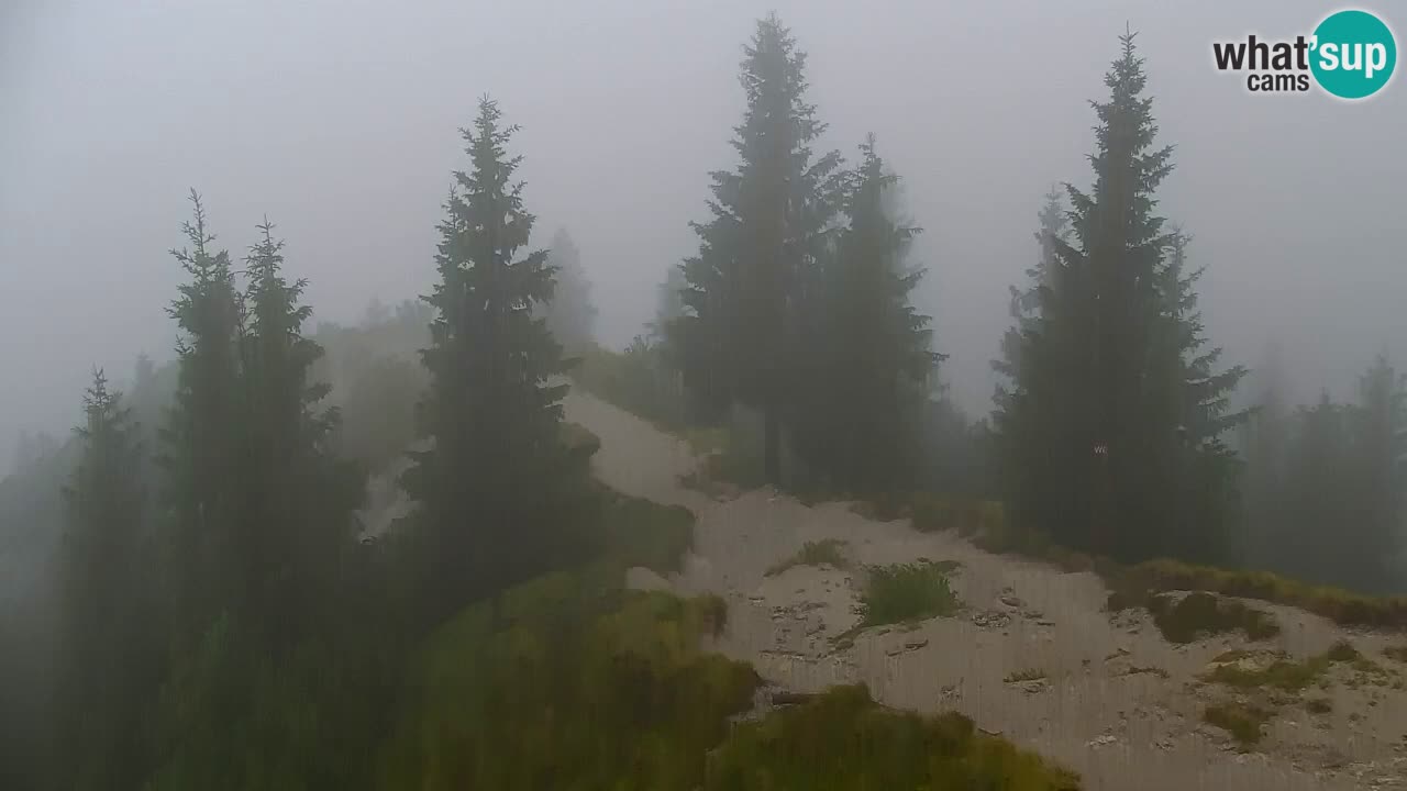 Web kamera Koča na Golici (1582 m) – Slovenija