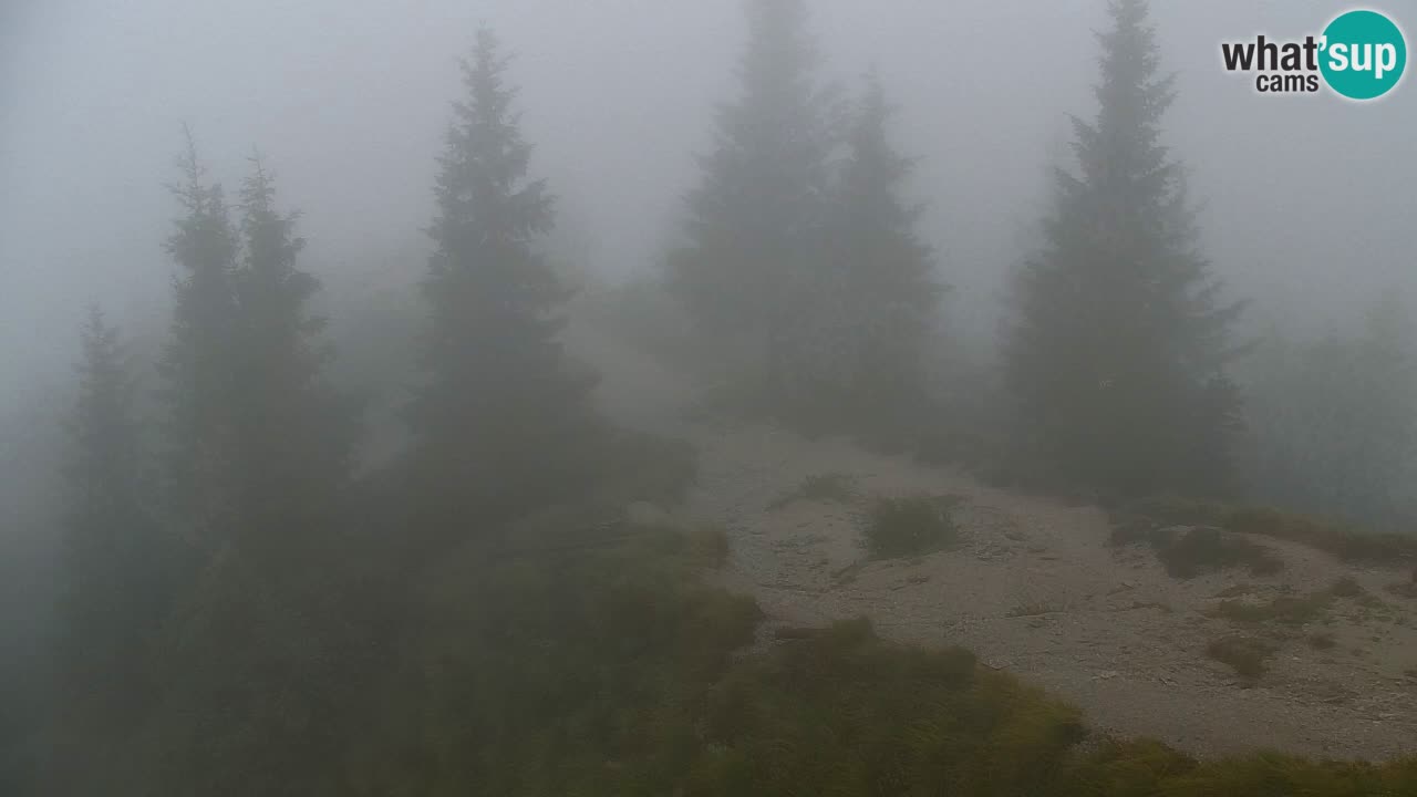 Spletna kamera Koča na Golici (1582 m) – Jesenice
