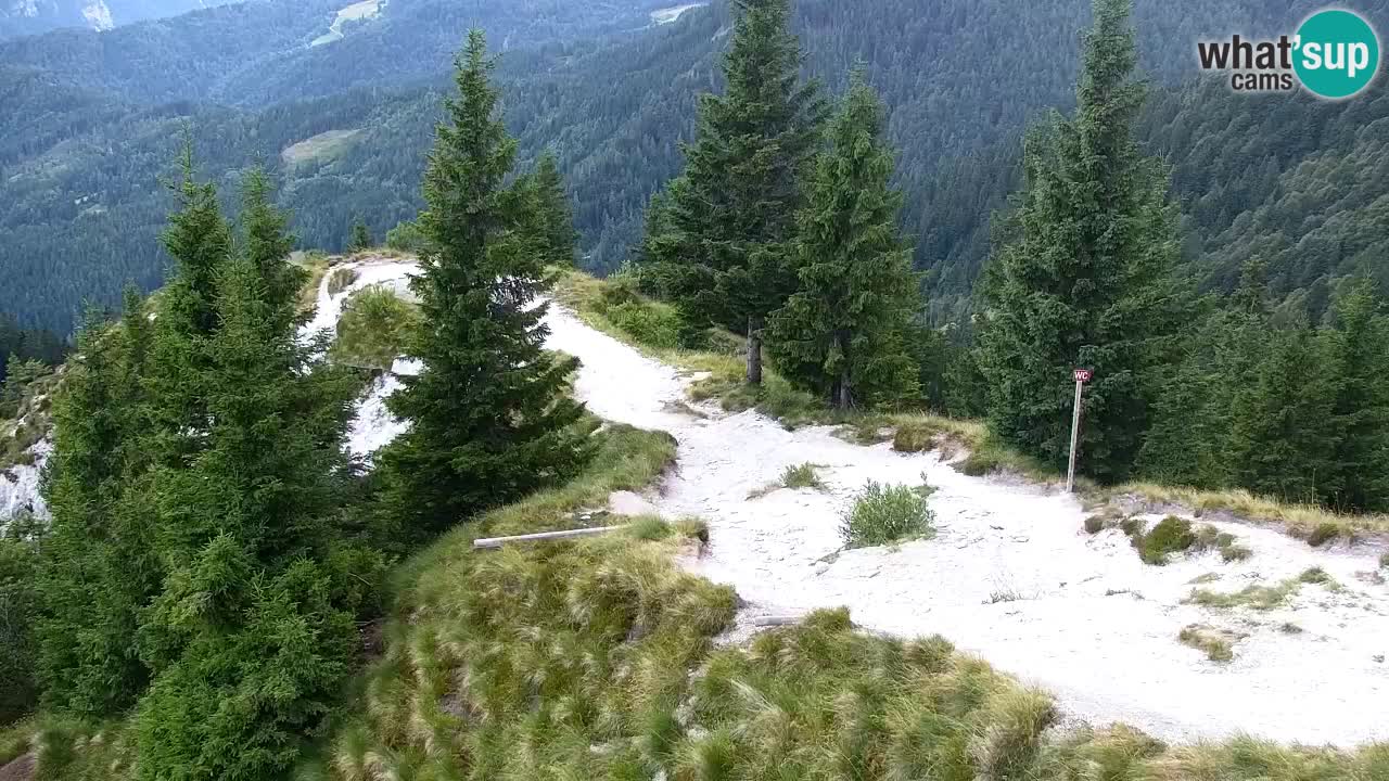 Web kamera Koča na Golici (1582 m) – Slovenija