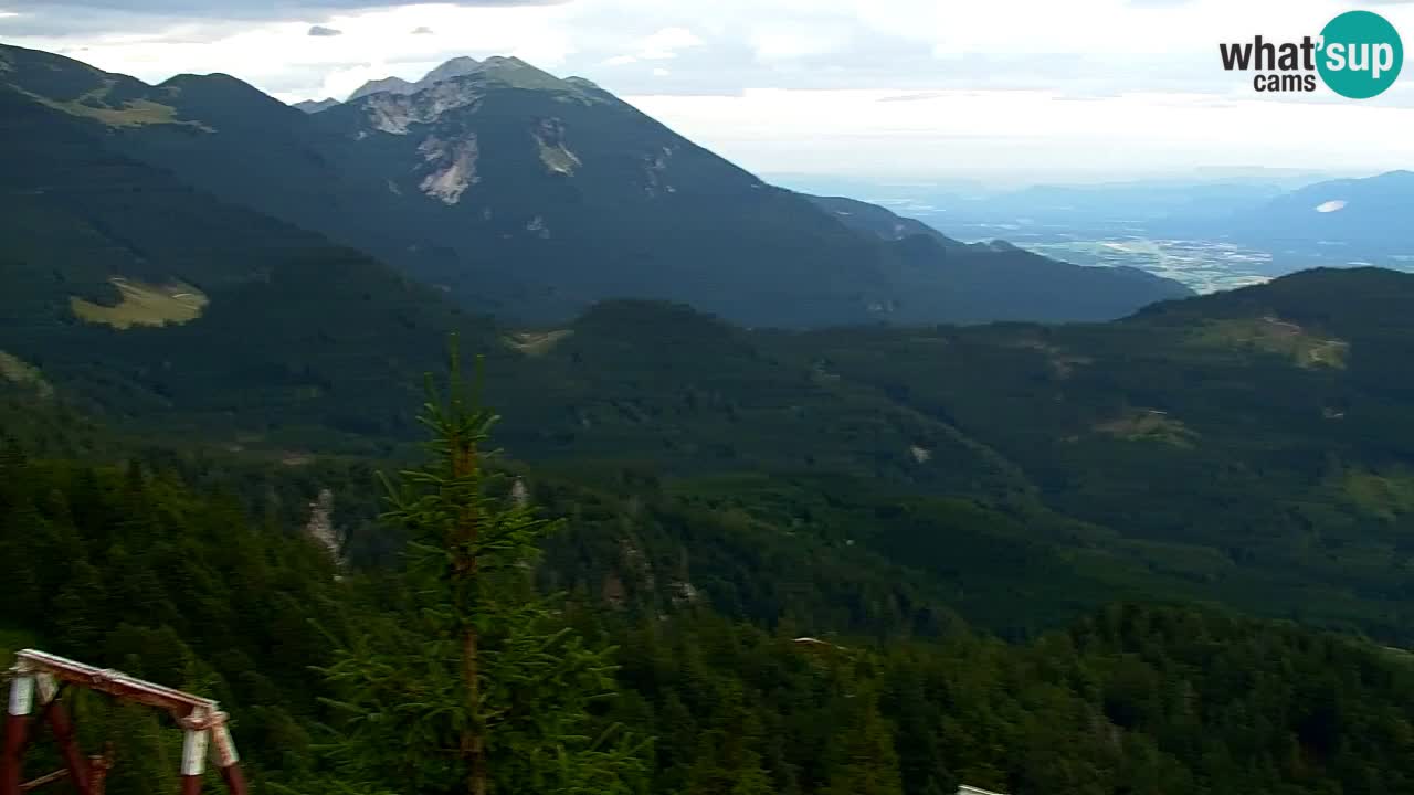 Webcam Koča na Golici (1582 m) – Slovenia