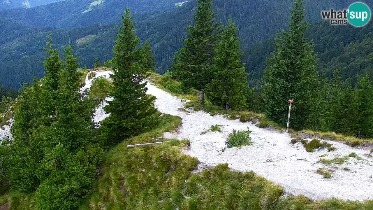 Webcam Koča na Golici (1582 m) – Slovenia