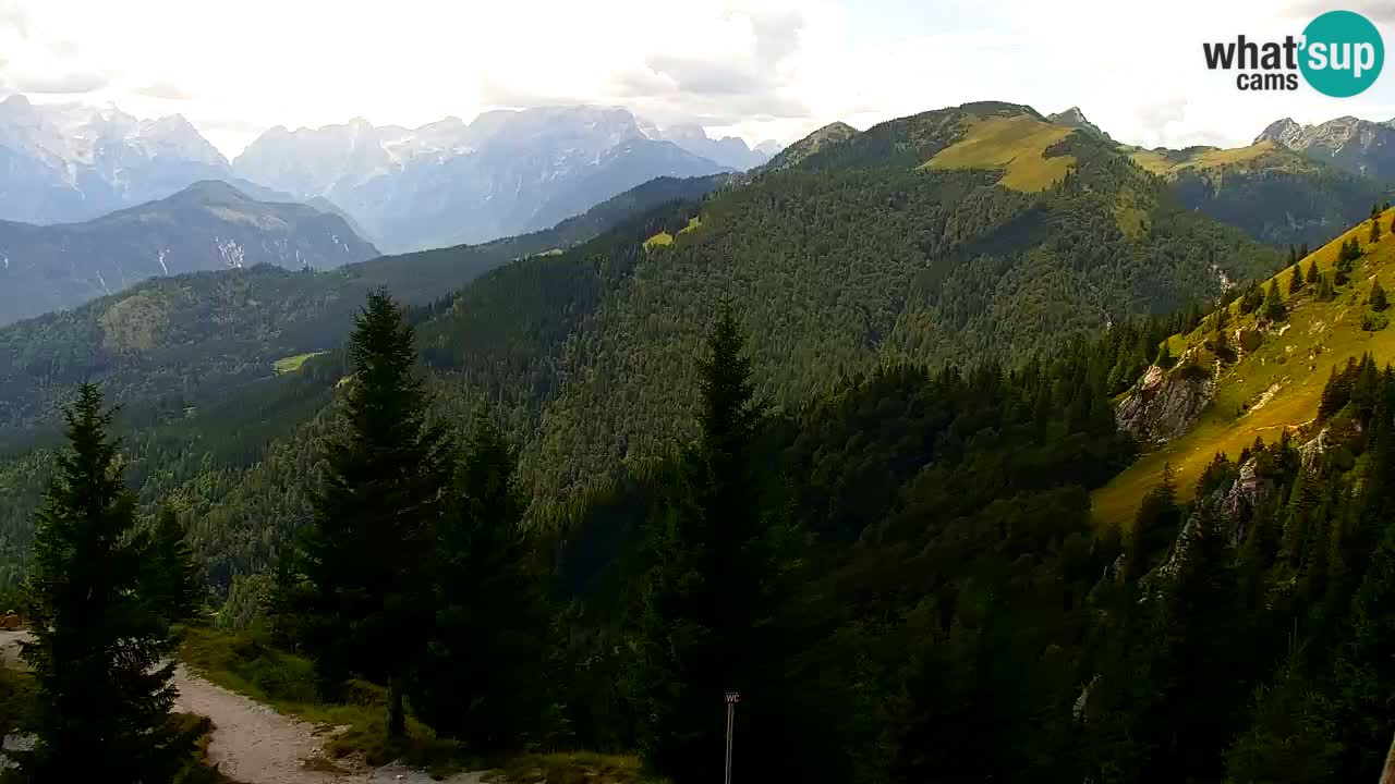 Webcam Koča na Golici (1582 m) – Slovenia