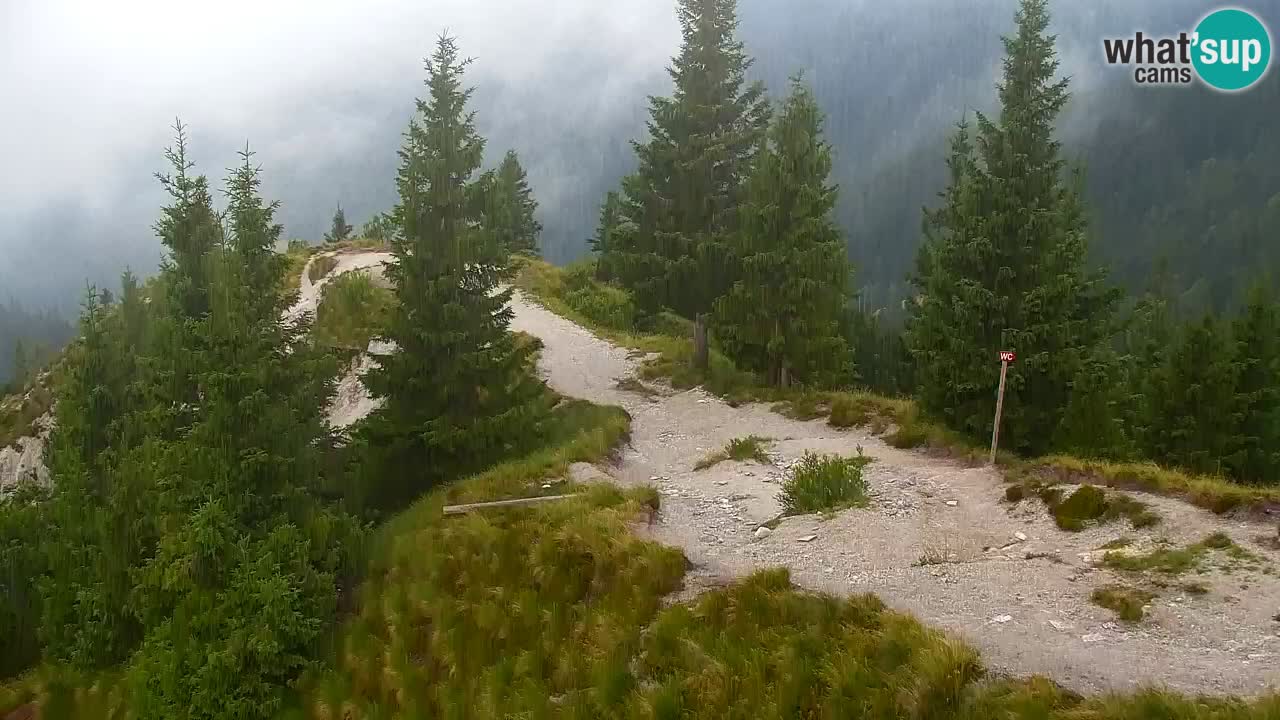 Web kamera Koča na Golici (1582 m) – Slovenija