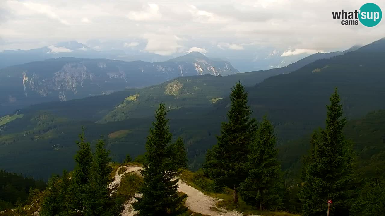Koča na Golici Webcam (1582 m) – Slowenien